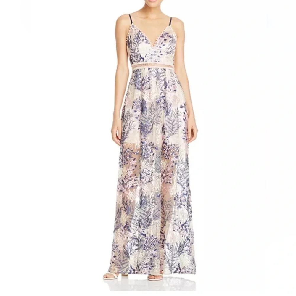 AQUA Embroidered Mesh Maxi Dress Blush Multi XS | Floral Lace Overlay Gown - Picture 1 of 12
